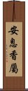 安息香屬 Scroll