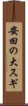 安田の大スギ Scroll