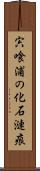 宍喰浦の化石漣痕 Scroll