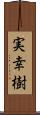 実幸樹 Scroll