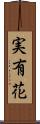 実有花 Scroll