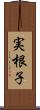 実根子 Scroll