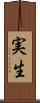 実生 Scroll