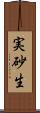 実砂生 Scroll