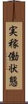 実稼働状態 Scroll