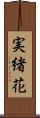 実緒花 Scroll