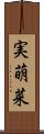 実萌菜 Scroll