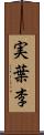 実葉李 Scroll