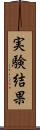 実験結果 Scroll