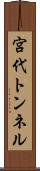宮代トンネル Scroll