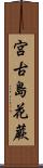 宮古島花蕨 Scroll