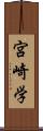 宮崎学 Scroll