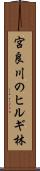 宮良川のヒルギ林 Scroll