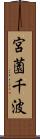宮薗千波 Scroll