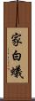 家白蟻 Scroll