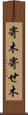 寄木 Scroll