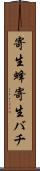 寄生蜂 Scroll