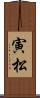 寅松 Scroll