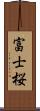 富士桜 Scroll