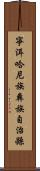 寧洱哈尼族彝族自治縣 Scroll