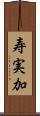 寿実加 Scroll