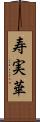 寿実華 Scroll