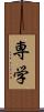 専学 Scroll