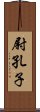 尉孔子 Scroll