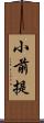 小前提 Scroll
