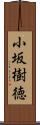 小坂樹徳 Scroll