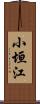 小垣江 Scroll