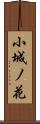小城ノ花 Scroll
