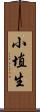 小埴生 Scroll