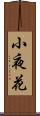 小夜花 Scroll