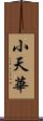 小天華 Scroll