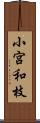 小宮和枝 Scroll