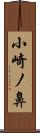 小崎ノ鼻 Scroll