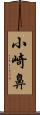 小崎鼻 Scroll