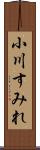 小川すみれ Scroll