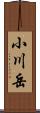 小川岳 Scroll