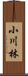 小川林 Scroll