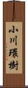 小川環樹 Scroll