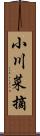 小川菜摘 Scroll