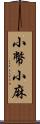 小幣 Scroll