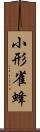 小形雀蜂 Scroll