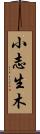 小志生木 Scroll