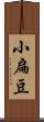 小扁豆 Scroll