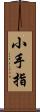 小手指 Scroll