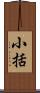 小括 Scroll