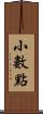 小數點 Scroll